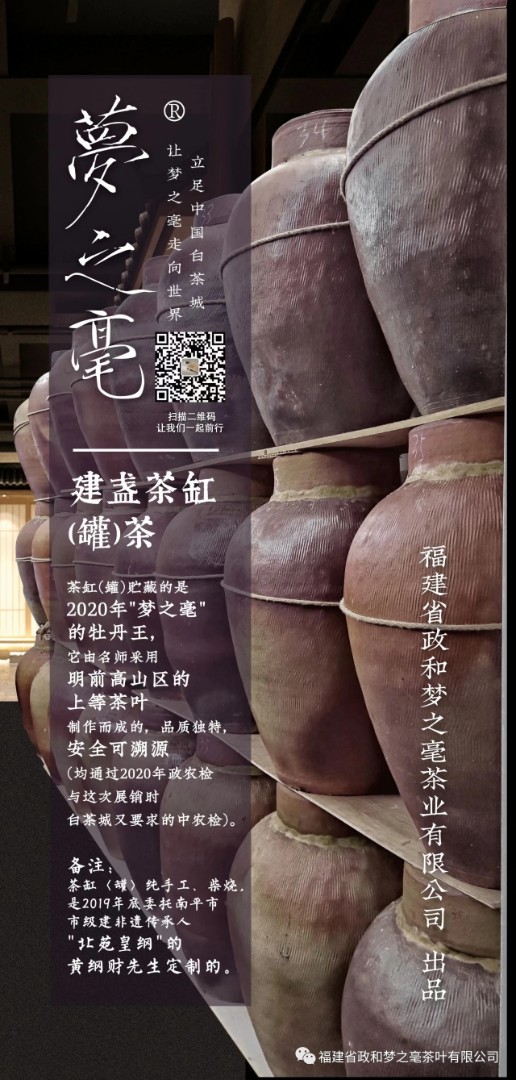 政和白茶藏茶：一场充满未知的“盲盒”之旅